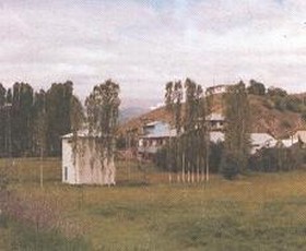 tulu1.jpg