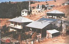 yildizoren1.jpg